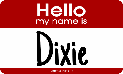Hello my name is Dixie png download