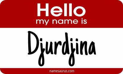 Hello my name is Djurdjina png download