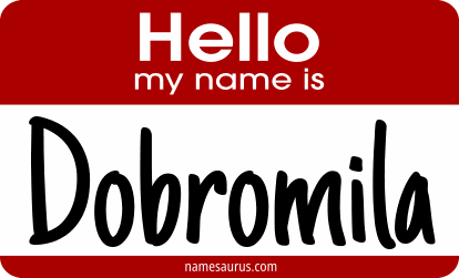 Hello my name is Dobromila png download