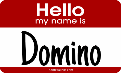 Hello my name is Domino png download