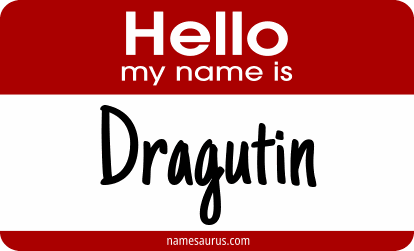 Hello my name is Dragutin png download
