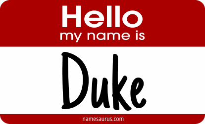 Hello my name is Duke png download