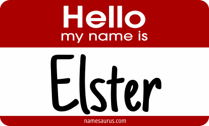 Hello my name is Elster png download