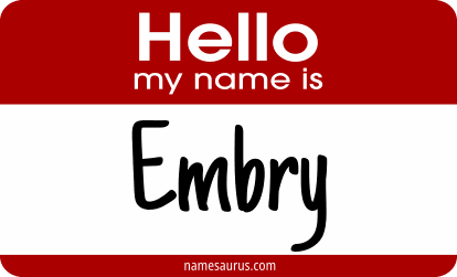 Hello my name is Embry png download