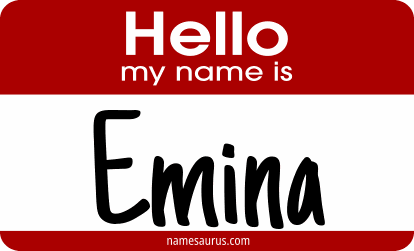 Hello my name is Emina png download