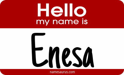 Hello my name is Enesa png download