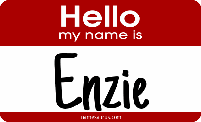 Hello my name is Enzie png download
