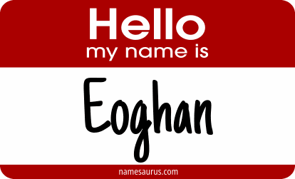 Hello my name is Eoghan png download