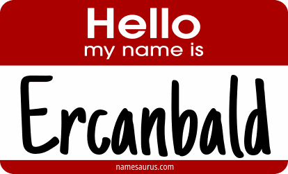 Hello my name is Ercanbald png download