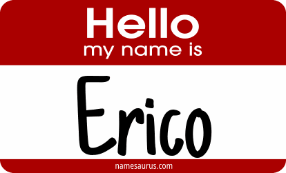 Hello my name is Erico png download