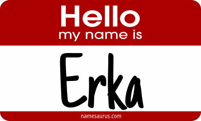 Hello my name is Erka png download
