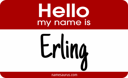 Hello my name is Erling png download