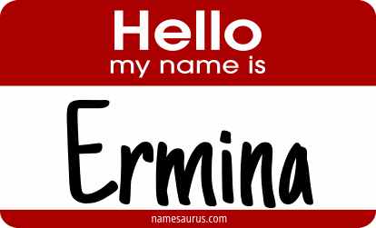 Hello my name is Ermina png download