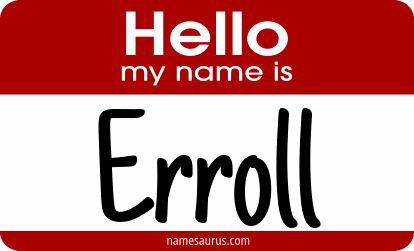 Hello my name is Erroll png download