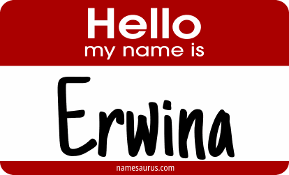 Hello my name is Erwina png download