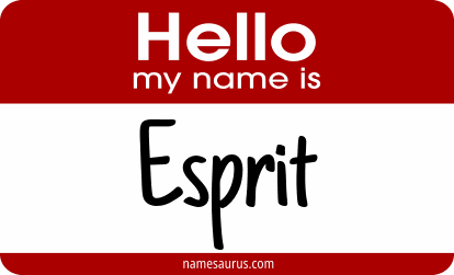 Hello my name is Esprit png download