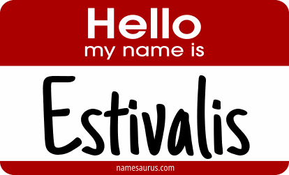 Hello my name is Estivalis png download