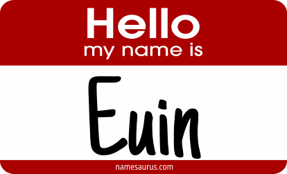 Hello my name is Euin png download