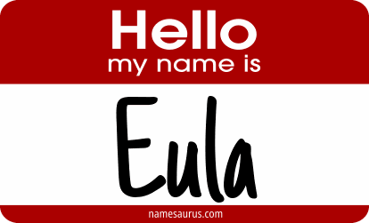 Hello my name is Eula png download