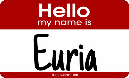Hello my name is Euria png download