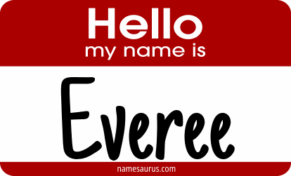 Hello my name is Everee png download
