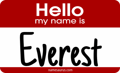 Hello my name is Everest png download