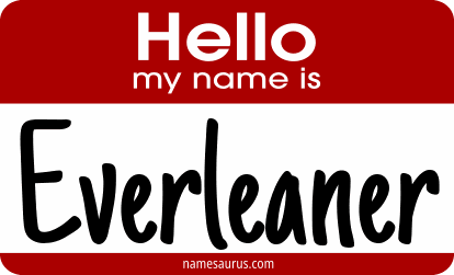 Hello my name is Everleaner png download