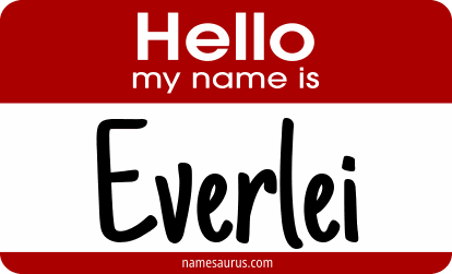 Hello my name is Everlei png download