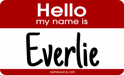 Hello my name is Everlie png download