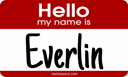 Hello my name is Everlin png download
