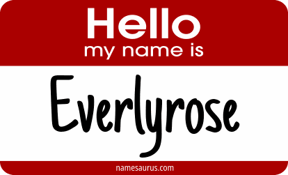 Hello my name is Everlyrose png download