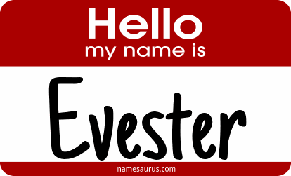 Hello my name is Evester png download