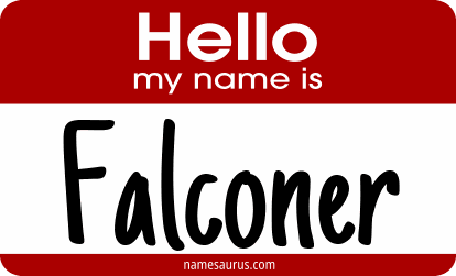 Hello my name is Falconer png download