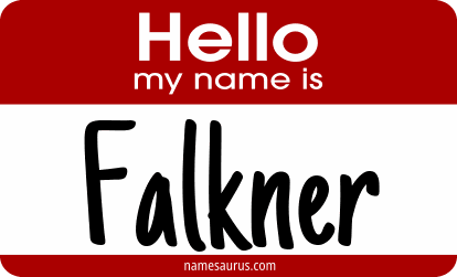 Hello my name is Falkner png download
