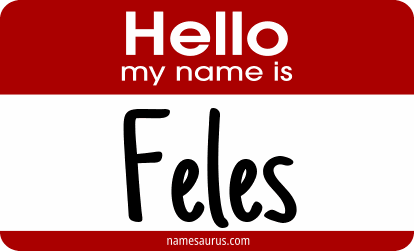 Hello my name is Feles png download