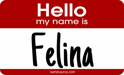Hello my name is Felina png download