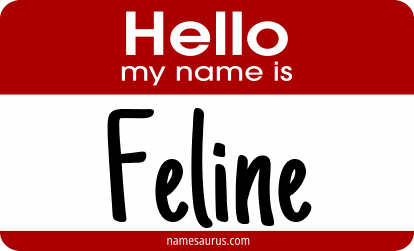 Hello my name is Feline png download
