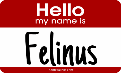 Hello my name is Felinus png download
