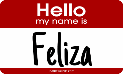 Hello my name is Feliza png download