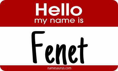 Hello my name is Fenet png download