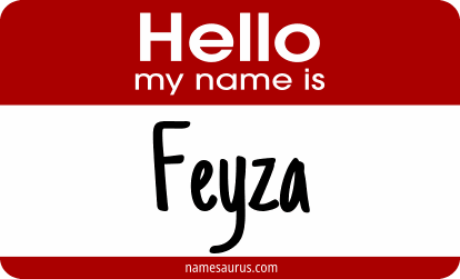 Hello my name is Feyza png download
