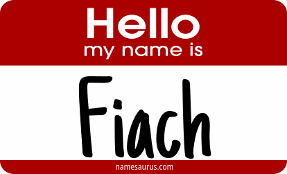 Hello my name is Fiach png download