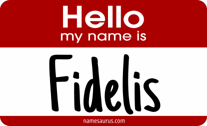 Hello my name is Fidelis png download