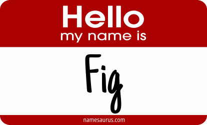 Hello my name is Fig png download