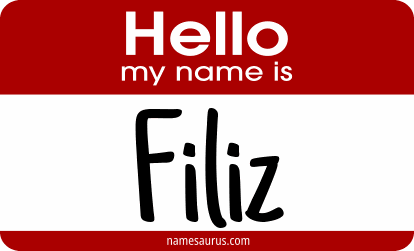 Hello my name is Filiz png download