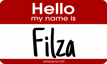 Hello my name is Filza png download