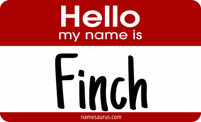 Hello my name is Finch png download