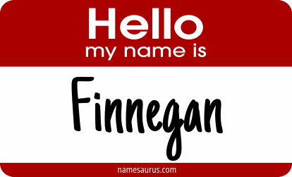 Hello my name is Finnegan png download