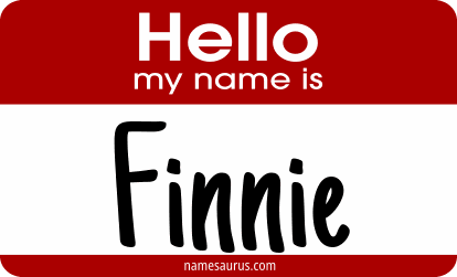 Hello my name is Finnie png download