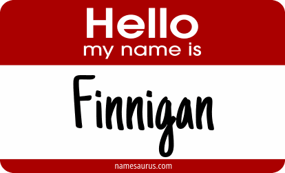 Hello my name is Finnigan png download